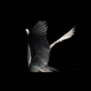 Sacred in the wreckage