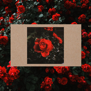 Rose Garden by Low Gs