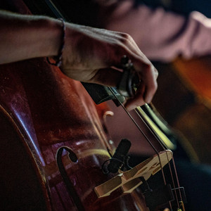 Confident orchestra