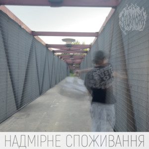 НАДМІРНЕ СПОЖИВАННЯ