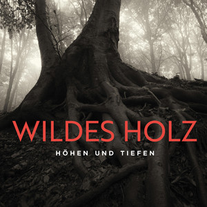 Dip by Wildes Holz