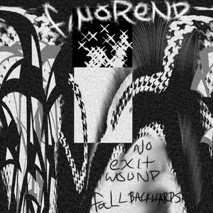 no exit wound: fall backwards by finorend