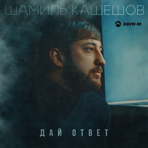 Дай ответ by Шамиль Кашешов