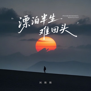 漂泊半生难回头