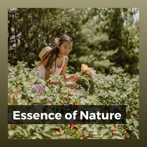 Essence of Nature album