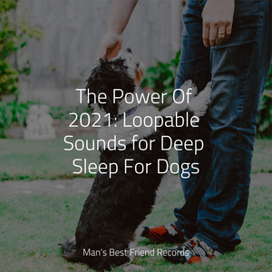 The Power Of 2021: Loopable Sounds for Deep Sleep For Dogs album