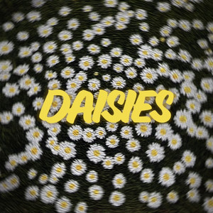 Daisies by Austin Upchurch