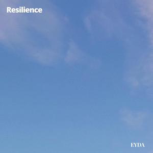 Resilience by EYDA