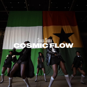 Cosmic Flow by Shakashaka