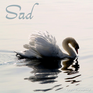 Kyrylo Zaplotynskyi — Sad