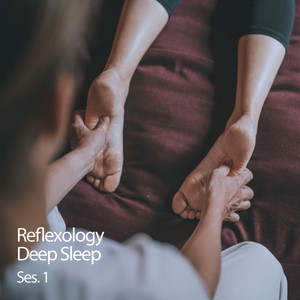 Reflexology Deep Sleep Ses. 1 album