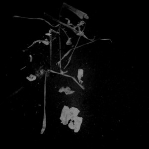 Cover art: Постмортем