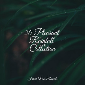 30 Pleasant Rainfall Collection album