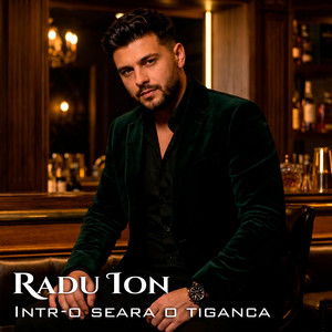 Intr-o seara o tiganca by Radu Ion