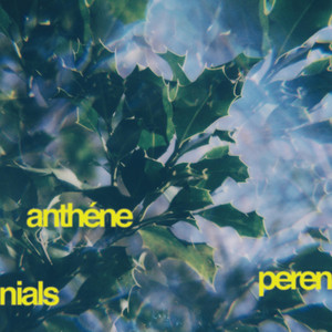 winter chords by anthéne