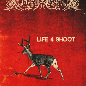 Life 4 Shoot