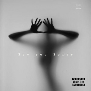 Say You Sorry by IAMLUCII