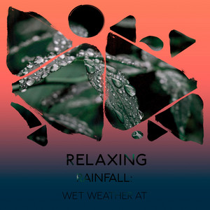 zZz Relaxing Rainfall: Wet Weather at the Marsh zZz album