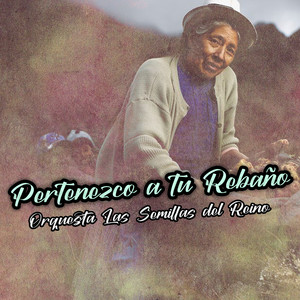 Pertenezco a Tu Rebano by Orquesta Las Semillas del Reino