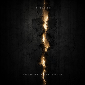 Show Me Your Walls by In Bloom