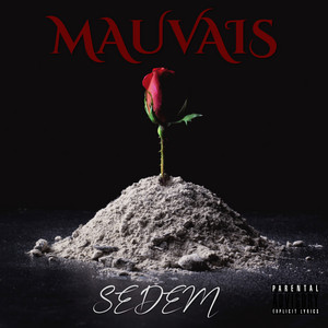MAUVAIS by SEDEM