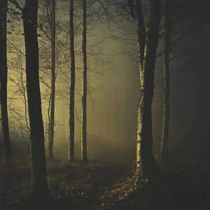 Patterns in Dreams by Aurelia Drift