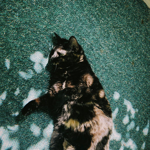 scaredy cat by VITO, Lil Skele