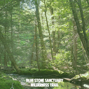 Plattekill River by Blue Stone Sanctuary
