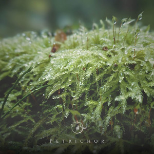 Petrichor by Miaquirele