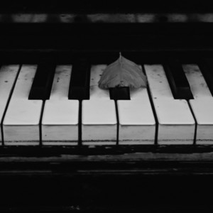 Piece n°8 by John Maia