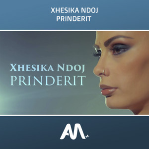 Prinderit
