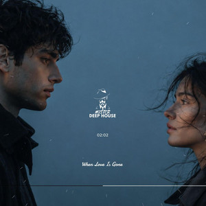 When Love Is Gone by MISTER DEEP HOUSE