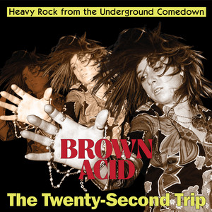 album cover: Brown Acid: The Twenty-Second Trip