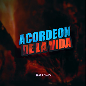 Dj Pilin - Acordeon de la Vida