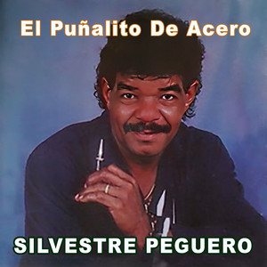 Silvestre Peguero - Soy Tu Enamorado