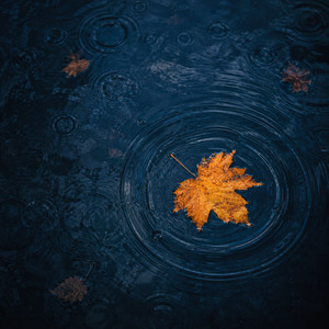 Blue - Rain Version by Penguin Piano