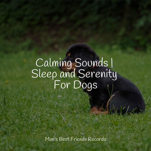 Calming Sounds | Sleep and Serenity For Dogs album