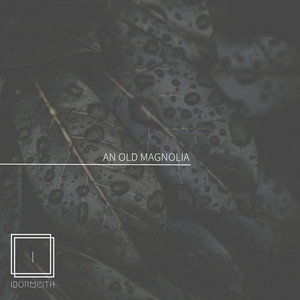 An Old Magnolia by Ibormeith