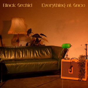 Everything at Once by Black Orchid