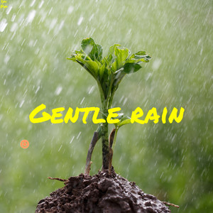 Gentle rain album