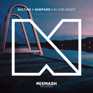 In The Night - Original Mix by Sultan + Shepard cover art