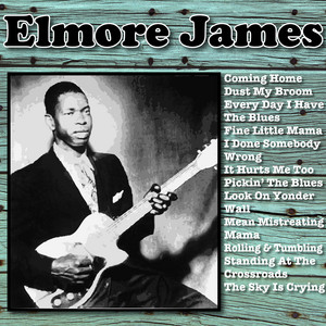 Elmore 【絶版】ウルトラプロ　Larry アーティストスリーブ