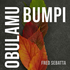 Fred Sebatta - Obulamu Bumpii