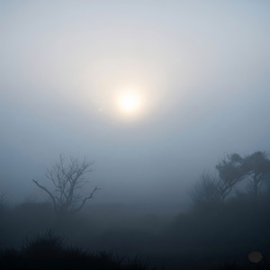 Ritual en la Niebla by Chocolette Urban