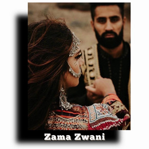 Shah Wali Ustad - Zama Zwani