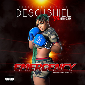 Descushiel