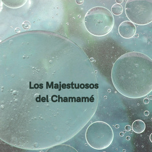 Los Majestuosos Del Chamamé - Mi Caballo El Satanás