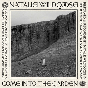 Blackberries by Natalie Wildgoose