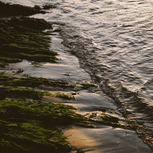 Washed Ashore by Noctora