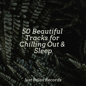 50 Beautiful Tracks for Chilling Out & Sleep